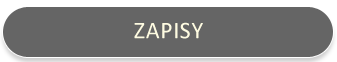 Zapisy